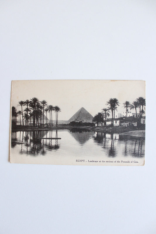 Vintage Egyptian Postcard – Landscape Near the Pyramids of Giza, c. 1910–1925