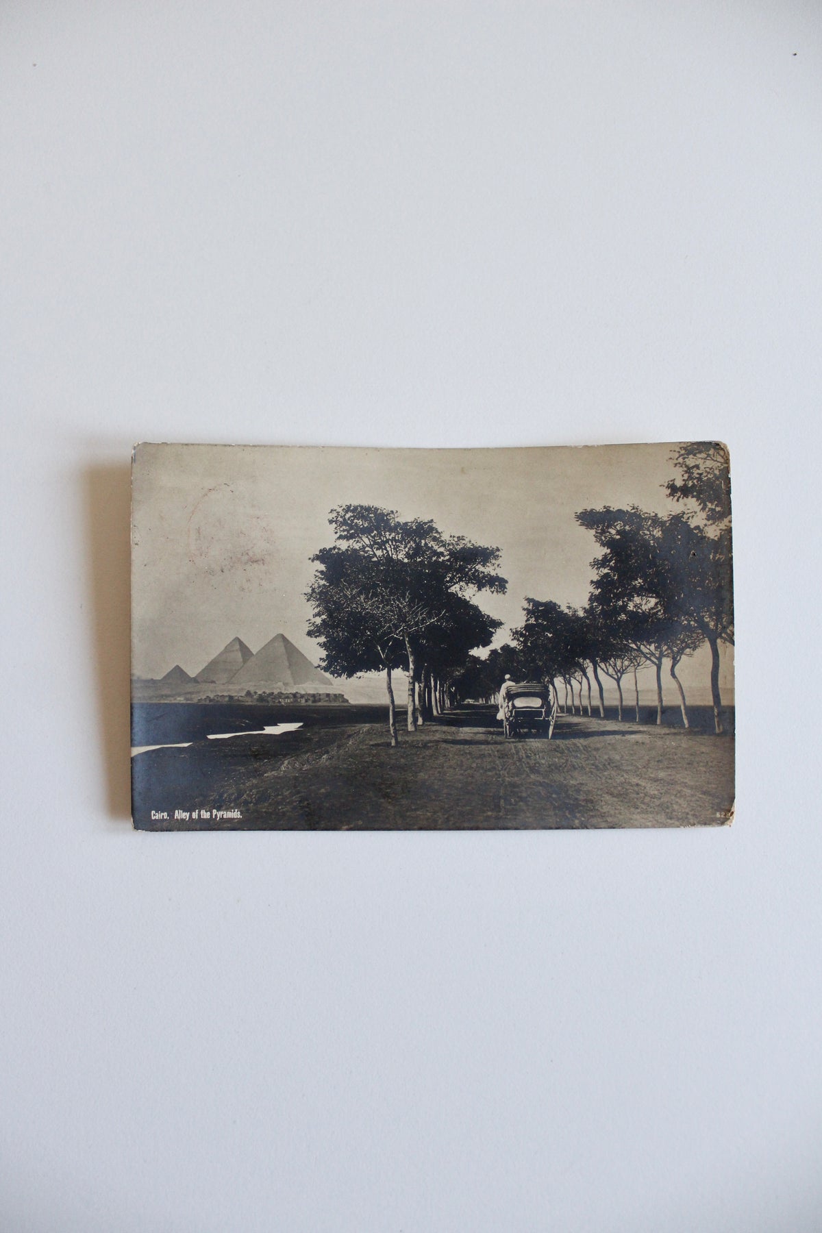 Antique Egyptian Postcard – Cairo, Alley of the Pyramids, 1906