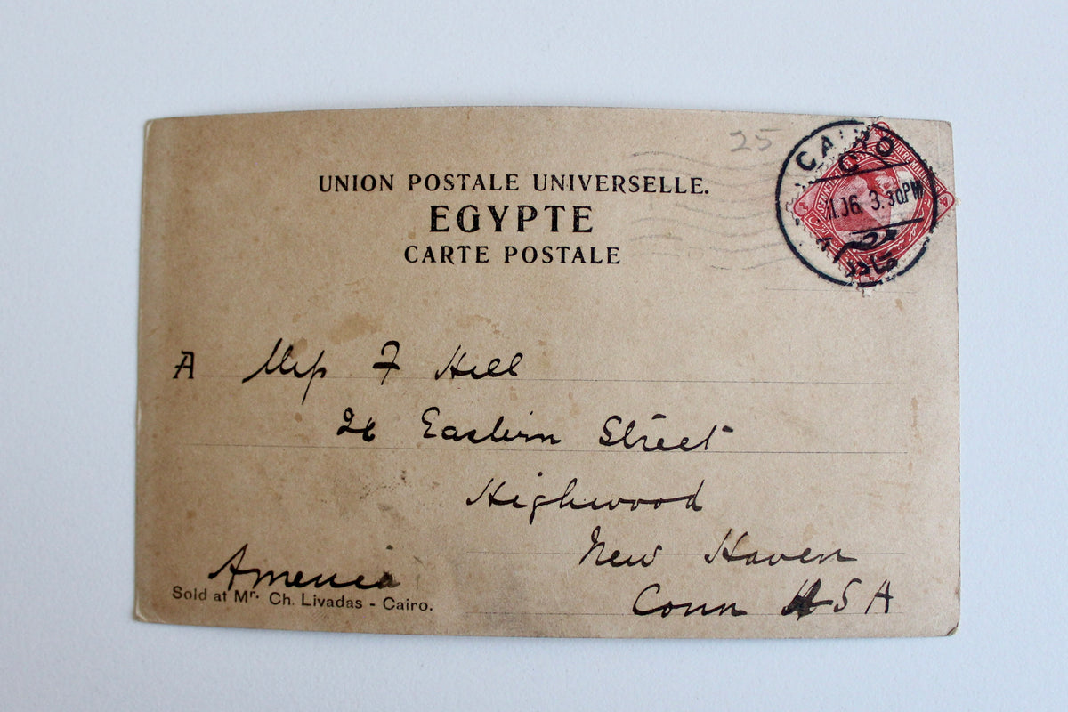 Antique Egyptian Postcard – Pyramids & Palm Grove, 1906