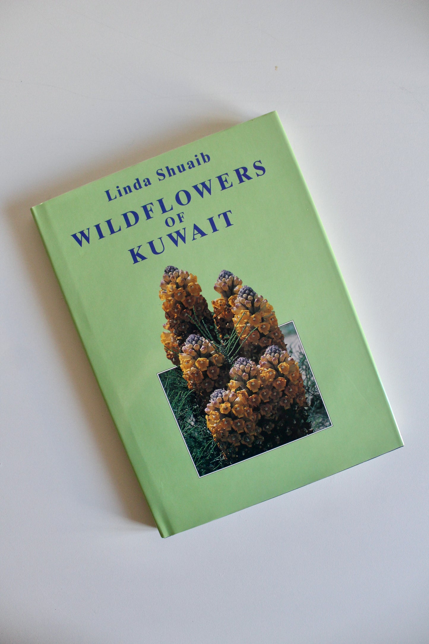 Vintage 1995 "Wildflowers of Kuwait" Hardcover by Linda Shuaib – Rare Kuwait Natural History Book