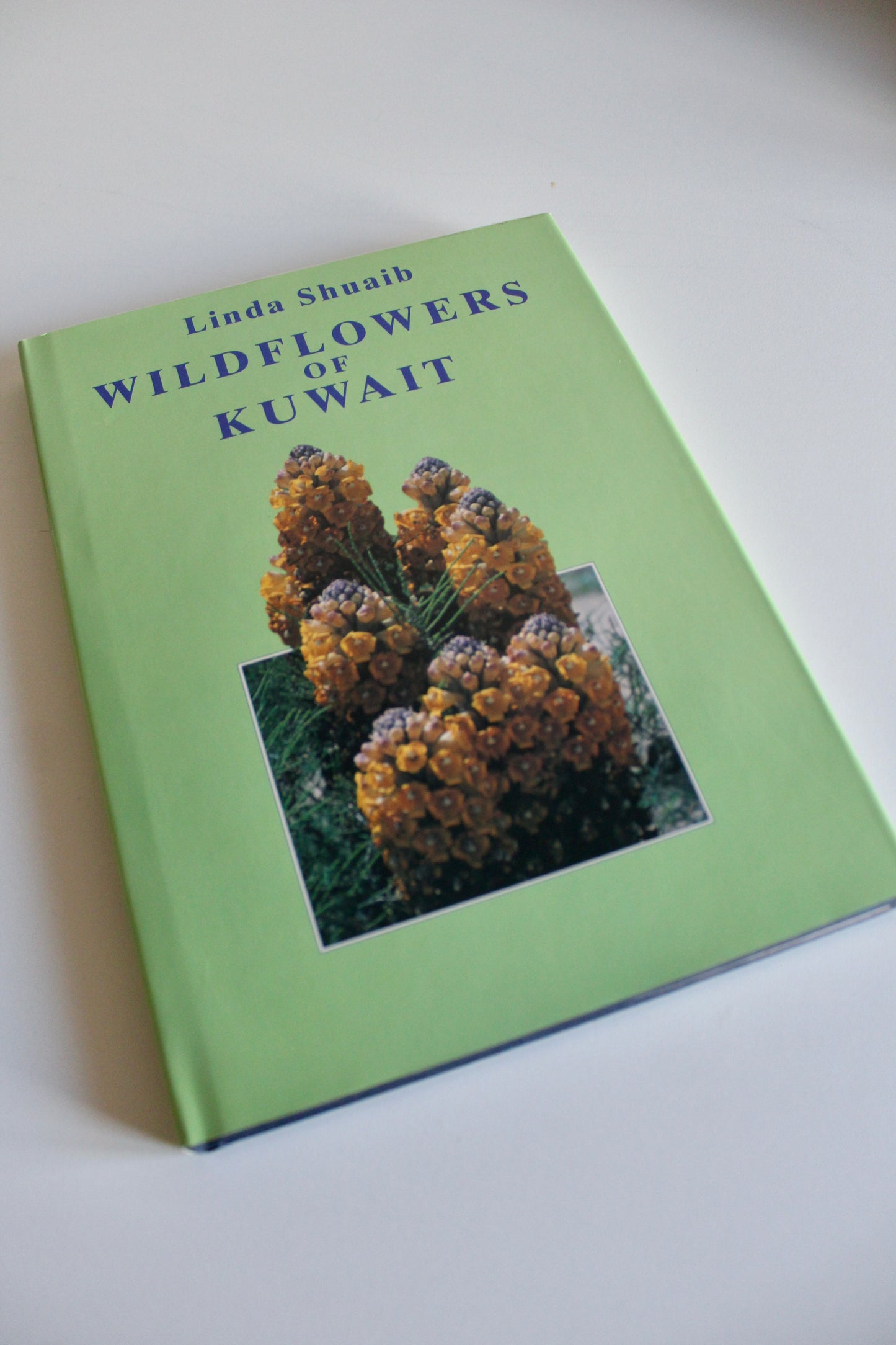 Vintage 1995 "Wildflowers of Kuwait" Hardcover by Linda Shuaib – Rare Kuwait Natural History Book