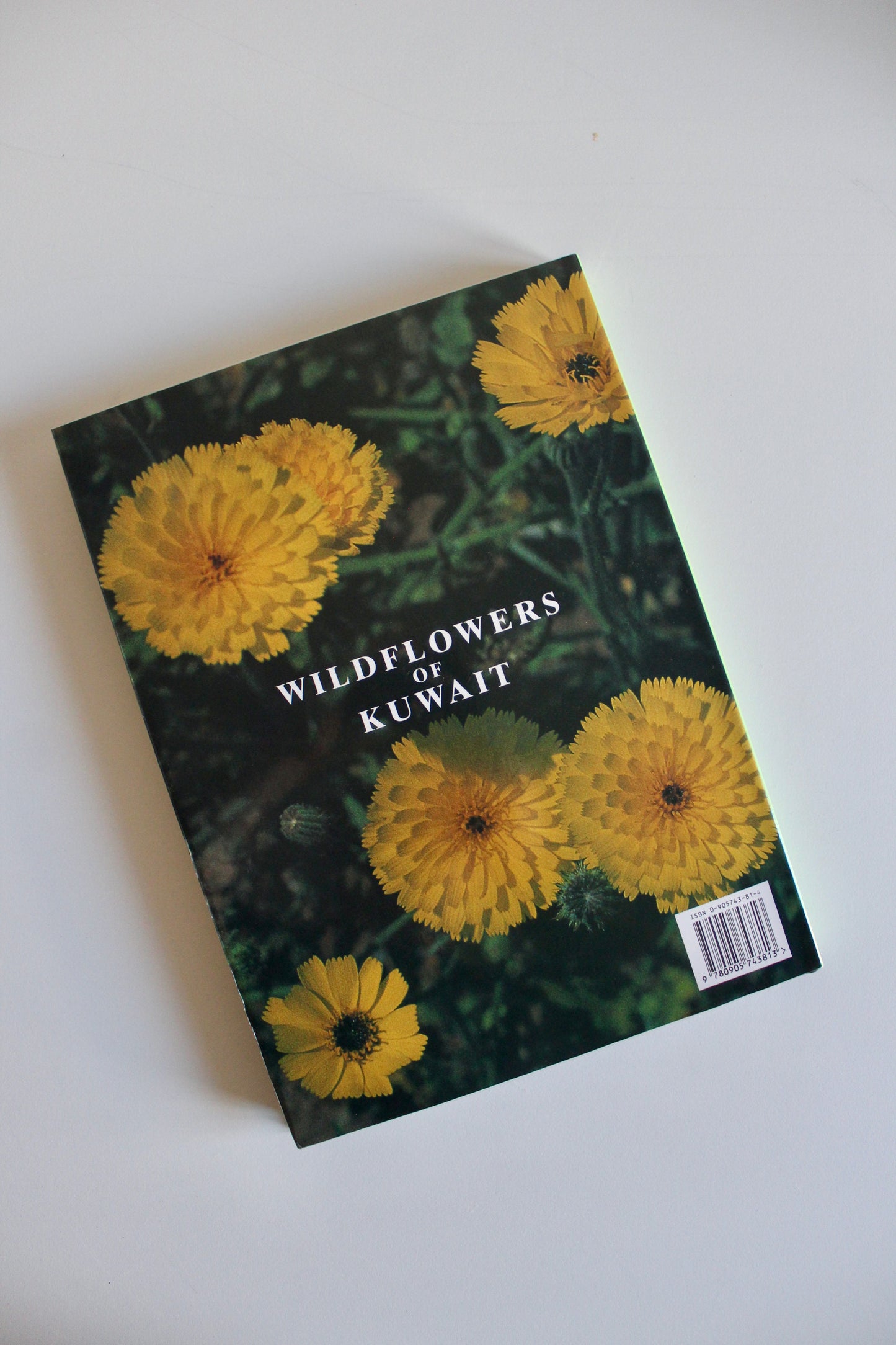 Vintage 1995 "Wildflowers of Kuwait" Hardcover by Linda Shuaib – Rare Kuwait Natural History Book