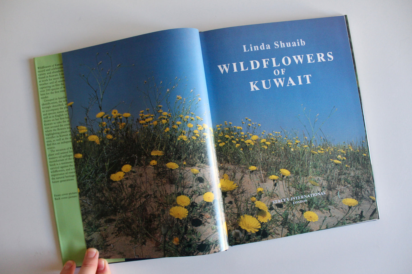 Vintage 1995 "Wildflowers of Kuwait" Hardcover by Linda Shuaib – Rare Kuwait Natural History Book