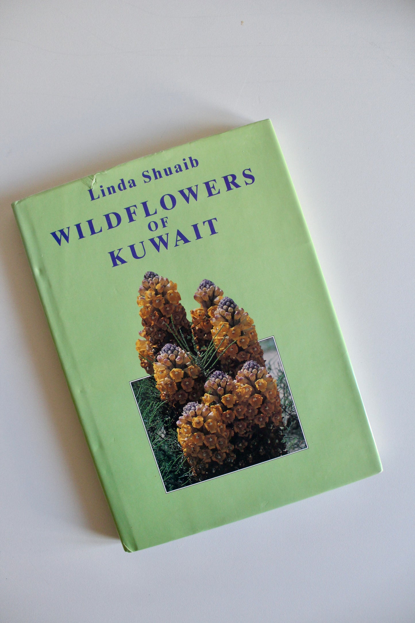 Vintage 1995 "Wildflowers of Kuwait" Hardcover by Linda Shuaib – Rare Kuwait Natural History Book
