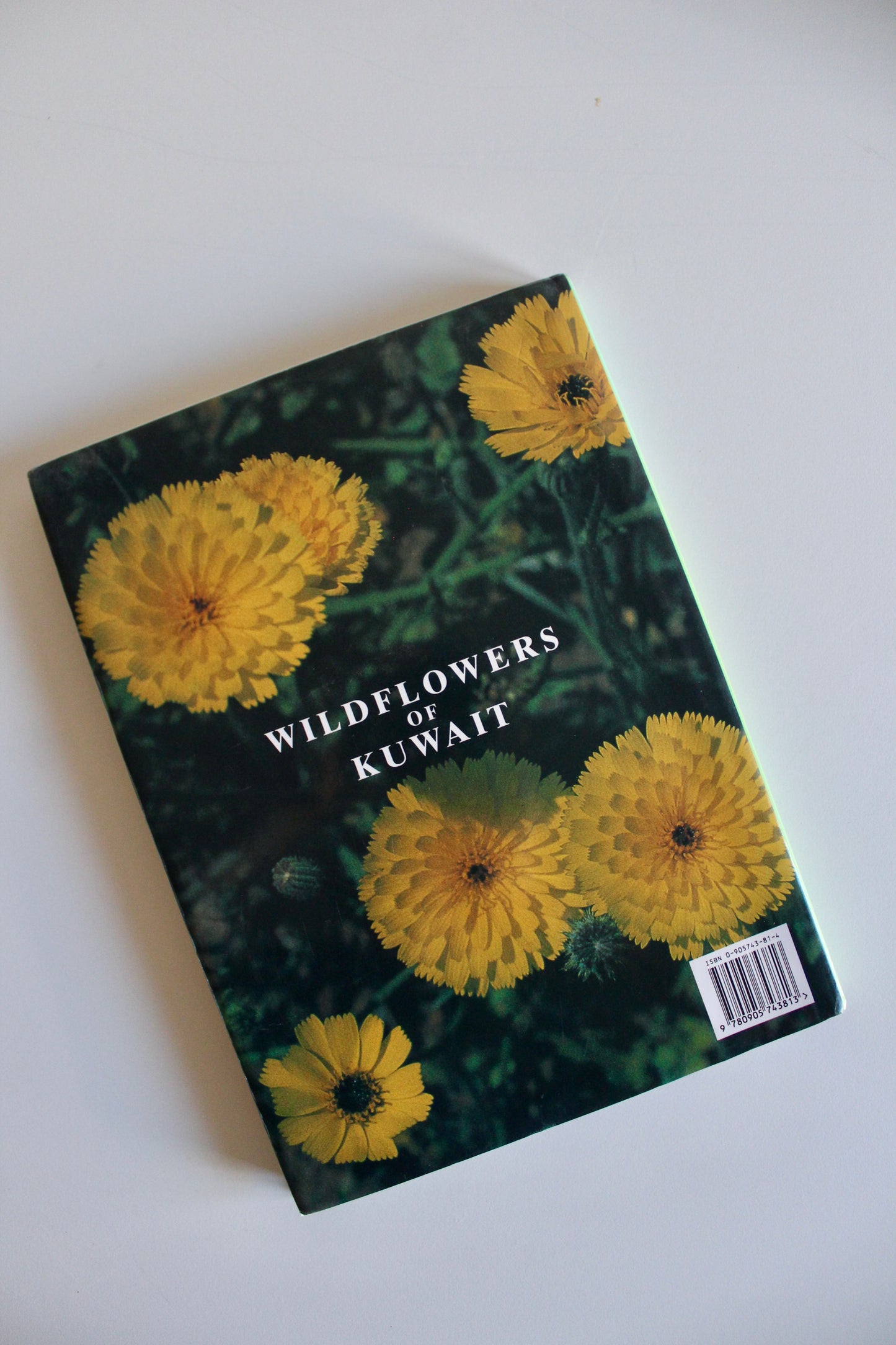 Vintage 1995 "Wildflowers of Kuwait" Hardcover by Linda Shuaib – Rare Kuwait Natural History Book