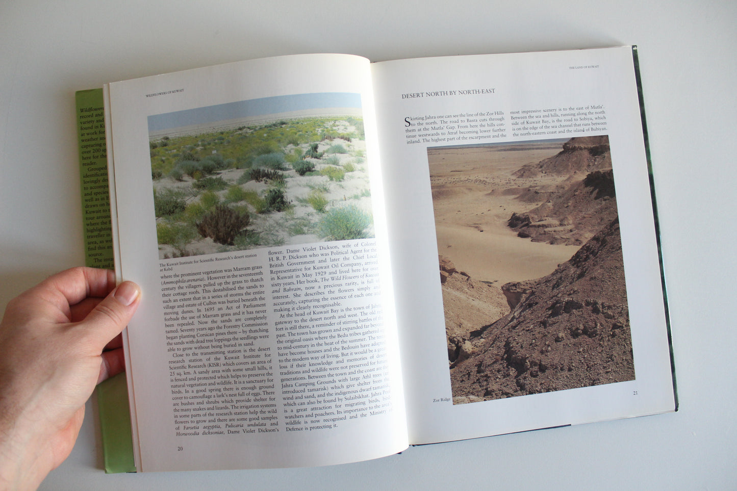 Vintage 1995 "Wildflowers of Kuwait" Hardcover by Linda Shuaib – Rare Kuwait Natural History Book